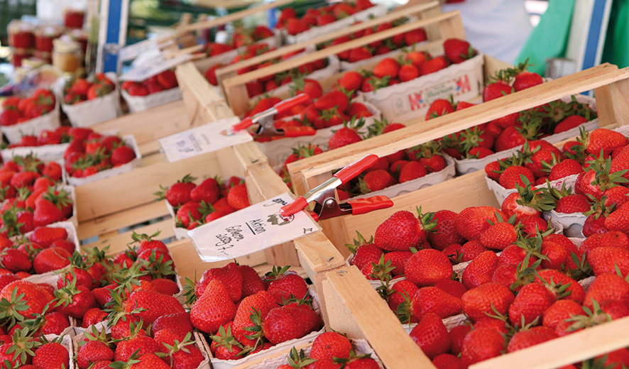 Spring clamp XM - Bilde 6